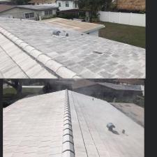 Roof cleaning 18