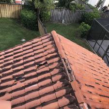 Roof cleaning 22