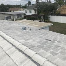 Roof cleaning 6