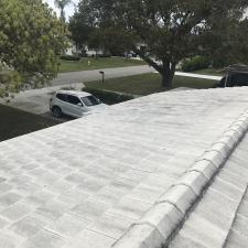 Roof cleaning 7