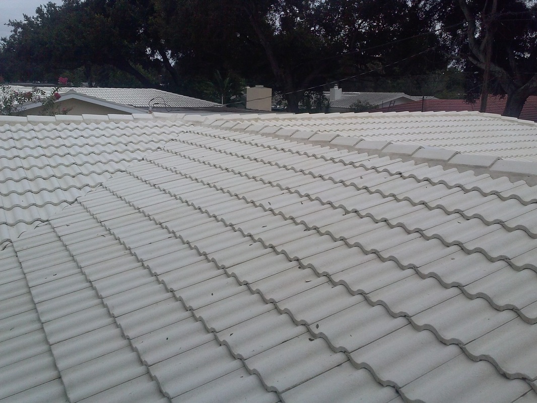Shingle roof clean